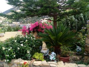 A garden outside Sa Corte Antiga