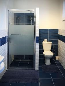 La salle de bains est pourvue de toilettes et d'une douche en verre. dans l'établissement Apartmán 501, à Važec