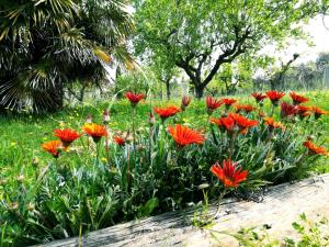 A garden outside Maison MilleOttocento