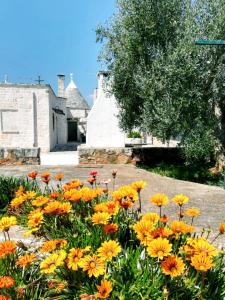 A garden outside Maison MilleOttocento