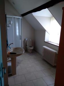 a attic bathroom with a toilet and a sink at Domaine de la Richardelle in Courtenay
