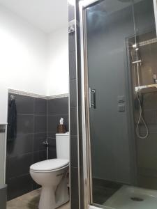 a bathroom with a toilet and a glass shower at Naova Cosy Studio in Kaysersberg +22 photos