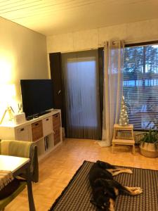 Televizorius ir (arba) pramogų centras apgyvendinimo įstaigoje Joutiaisentie I 55 Forest apartment