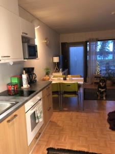 Køkken eller tekøkken på Joutiaisentie I 55 Forest apartment