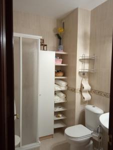 Un baño con ducha, WC y toallas. en Alojamiento OliCazorla, en Cazorla