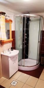 Blatnica的住宿－Drevenica pod Tlstou，带淋浴和盥洗盆的浴室