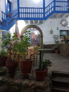 a patio with potted plants and a blue and white building at Hospedaje Euro's De San Blas in Cusco