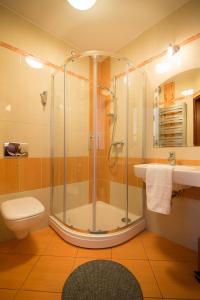 a bathroom with a shower and a toilet and a sink at Villa BALTICA in Rowy