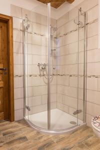 a shower with a glass door in a bathroom at Haus Waldfrieden in Kurort Altenberg
