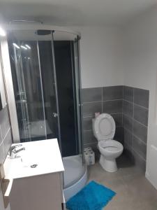 La salle de bains est pourvue de toilettes, d'un lavabo et d'une douche. dans l'établissement Sleep'in Orléans centre-studio confortable et cosy, à Orléans