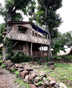 an old house with a thatched roof next to a tree at El Bamboo Cabins in Balgue