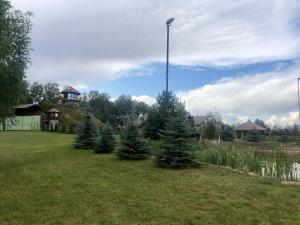 Vonkajšia záhrada v ubytovaní Dom nad stawem przy lesie