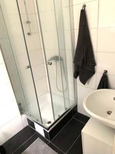 W łazience znajduje się prysznic, toaleta i umywalka. w obiekcie Danilos Boardinghouse w mieście Weinheim