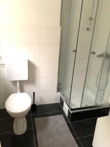 a bathroom with a toilet and a glass shower at Danilos Boardinghouse in Weinheim