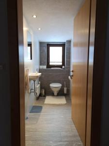 a bathroom with a toilet and a sink at Apart Piz Mondin in Pfunds