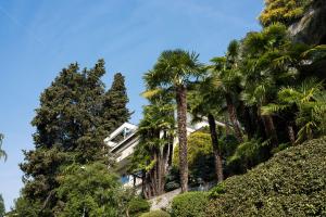 a building with palm trees in front of it at Villa Violetta - Bellavista in Castagnola