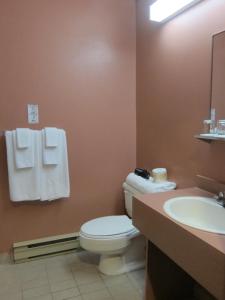 
a bathroom with a toilet, sink, and mirror at Annapolis Royal Inn in Annapolis Royal
