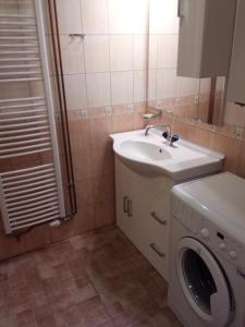 a bathroom with a washing machine and a sink at Apartmán U Zlatého křížku in Velké Meziříčí