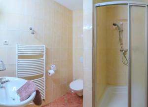 a bathroom with a shower and a toilet and a sink at Penzion Pašta in Říčky
