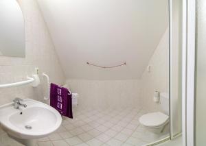 a bathroom with a sink and a toilet at Penzion Pašta in Říčky +34 photos
