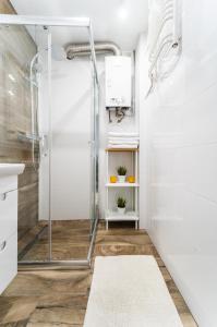 La salle de bains est pourvue d'une cabine de douche en verre. dans l'établissement Apart Market Square - Rynek 44 - Opposit Town Hall - 3 Rooms, à Wrocław