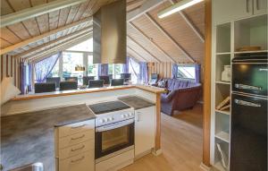 エーベルトフトにあるBeautiful Home In Ebeltoft With Saunaのキッチン(コンロ付)、リビングルーム