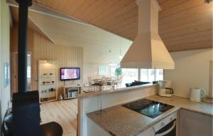 Bøtø ByにあるAwesome Home In Vggerlse With 4 Bedrooms, Sauna And Wifiのキッチン、リビングルーム(コンロ付)