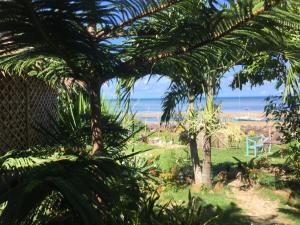 a view of the ocean from a garden with palm trees at Gigante Island Homestay - Balay sa Gigante in Carles