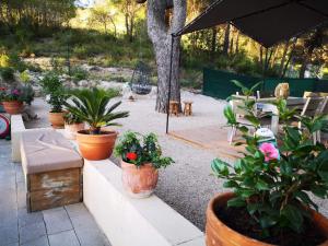 Ein Garten an der Unterkunft Casa Jetizo