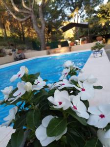 Der Swimmingpool an oder in der Nähe von Casa Jetizo