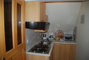 a small kitchen with a stove and a microwave at Ferienwohnung Lahnerhof in Arriach