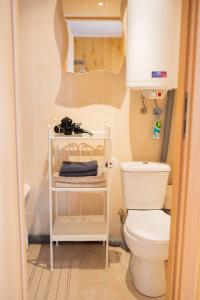 a small bathroom with a toilet and a sink at Centro apartamentai in Naujoji Akmenė
