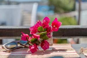 Fotografie z fotogalerie ubytování Anemologio v destinaci Finikas