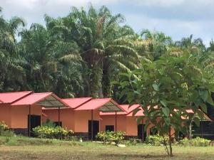 a row of houses with red roofs and trees at Khao Sok Evergreen House in Khao Sok National Park