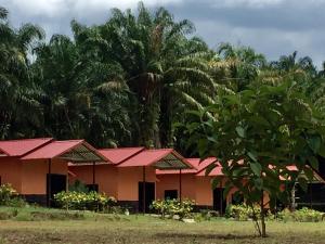 a row of houses with red roofs and trees at Khao Sok Evergreen House in Khao Sok