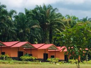 a row of houses with red roofs and palm trees at Khao Sok Evergreen House in Khao Sok National Park