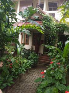 a garden in front of a house with plants at Heavenly Homestay in Cochin