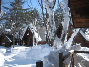 a pile of snow next to a log cabin at Hakuba Brownie Cottages in Hakuba +43 photos