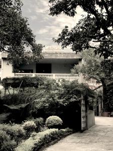 Amrit Bhawan外面的花园