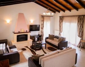 sala de estar con sofá y chimenea en Villa Costa en Sfakerá