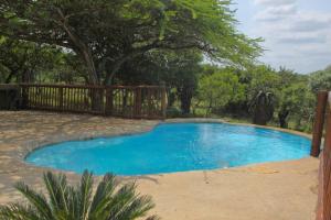 a swimming pool in a yard with a wooden fence at Aloe View Rock Lodge in Hluhluwe