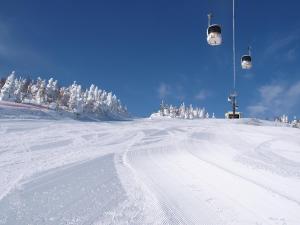 Afbeelding uit fotogalerij van Okushiga Kogen Hotel in Yamanouchi