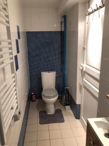 La salle de bains est pourvue de toilettes et d'une douche bleue. dans l'établissement Gite du manoir de l'étang, à Marines