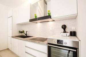 Kuchyň nebo kuchyňský kout v ubytování Lux Apartment Teodora Rafailovici