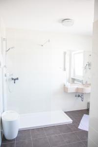 ein Bad mit einer Dusche und einem Waschbecken in der Unterkunft Hotel & Gasthof Wagner in Aichach