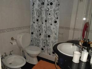 a bathroom with a toilet and a sink and a shower curtain at Viva San Martín, Apartamento Luminoso in Buenos Aires +25 photos