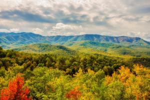 uma vista de Outono de uma floresta com montanhas ao fundo em Star Dancer Cabin em Gatlinburg