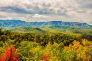 an autumn view of a forest with mountains in the background at Star Dancer Cabin in Gatlinburg