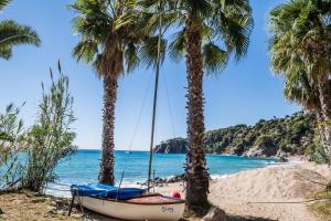 un barco en la playa entre dos palmeras en Camping Cala Llevado, en Tossa de Mar