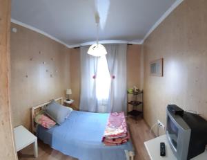 レニングラツカヤにあるMeeting at the Guest Houseのベッド1台とテレビが備わる小さな客室です。